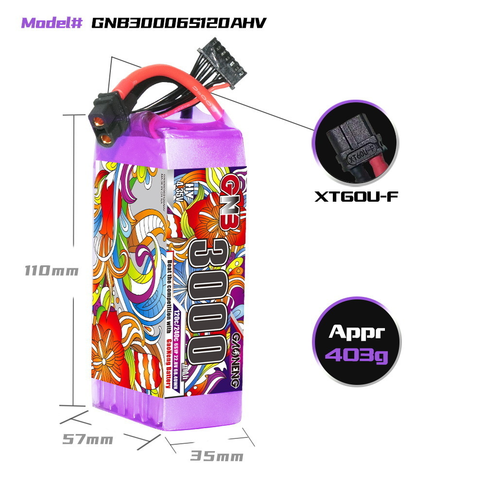GNB リポバッテリー 6S 22.8V 3000mAh 5 - Drone Battery 6S のレビューと価格